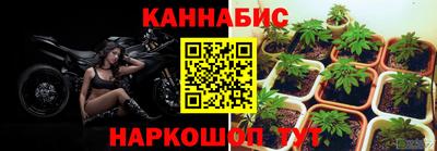 ПСИЛОЦИБИНОВЫЕ ГРИБЫ Нальчик