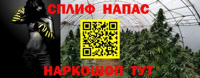 ПСИЛОЦИБИНОВЫЕ ГРИБЫ Нальчик