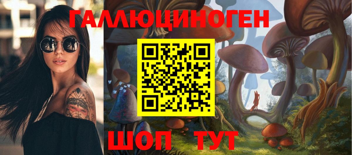 Псилоцибиновые грибы Psilocybine cubensis  Вход с VPN  Углич  как найти наркотики  Псилоцибиновые грибы Cubensis 